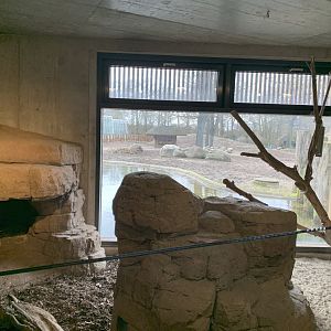 Meerkat exhibit in the Rhino house