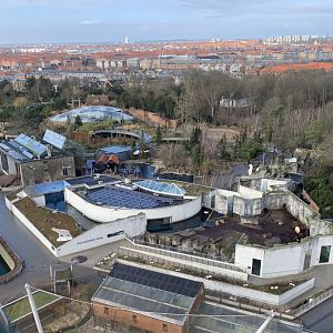 Overview of the Arctic Ring and Asia