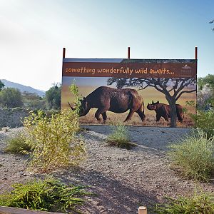 future black rhino exhibit