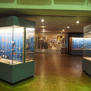 Hall of minerals, 2019-12-03