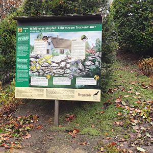 Wild bee habitat - dry wall