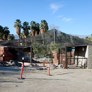 future Australia (spring 2020)