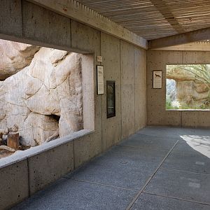 kit fox (left) swift fox (right) exhibits