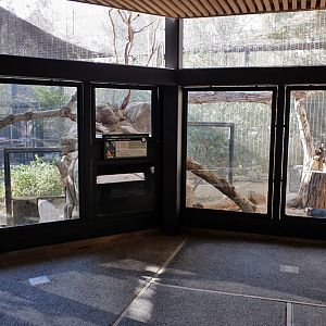 Channel Island fox exhibit