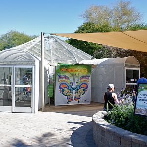 hummingbird and butterfly pavillion