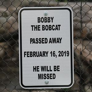 RIP Bobby