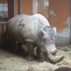 Budapest Zoo and Botanical Garden 24.1.20