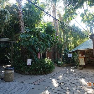 World of Birds Wildlife Sanctuary and Monkey Park 18.4.19