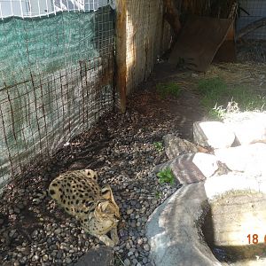 World of Birds Wildlife Sanctuary and Monkey Park 18.4.19