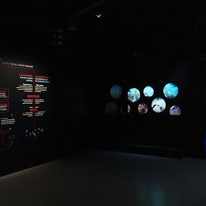Temporary exhibition 'Antarctica' - Displays on the benthic fauna of Antarctic waters, 2019-12-03
