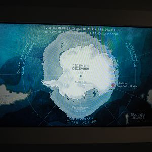 Temporary exhibition 'Antarctica' - Display on Antarctic sea ice, 2019-12-03
