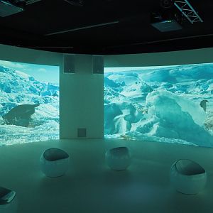 Temporary exhibition 'Antarctica' - Antarctic fauna video immersion room, 2019-12-03