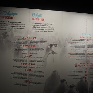 Temporary exhibition 'Antarctica' - Belgium and Antarctica display, 2019-12-03