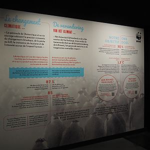 Temporary exhibition 'Antarctica' - Antarctica and climate change display, 2019-12-03