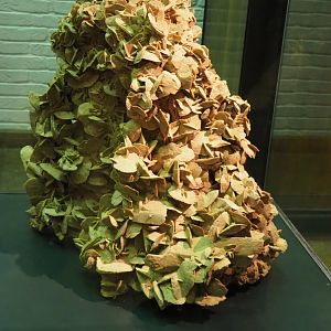 Desert rose gypsum crystal formation from Tunisia, 2019-12-03