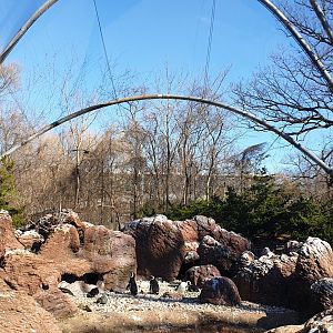 Aquatic walktrough aviary