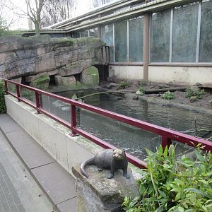Otter enclosure