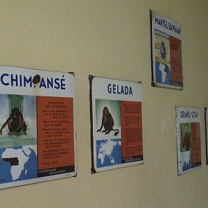 Old enamel zoo signs