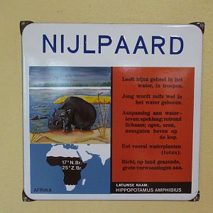 Old enamel hippo sign