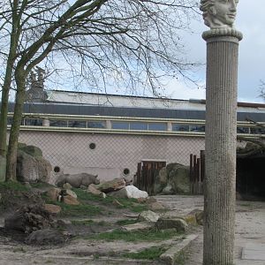 Random pillar in rhino paddock