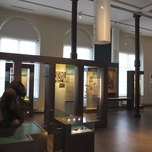 '250 Years of Natural History' permanent exhibition, 2019-12-03