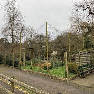 Marabou aviary 050120