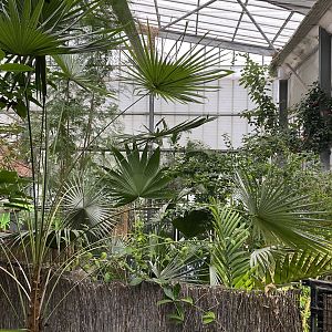 Crocodile Swamp 050120