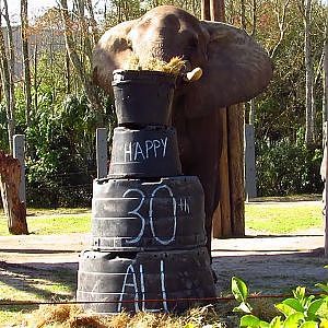 Ali's 30th Birthday (Short) - YouTube