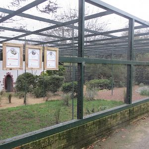 Cottage Aviary 050120