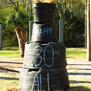 Ali's Birthday Enrichment