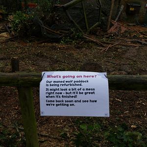 Maned wolf enclosure, February 2020