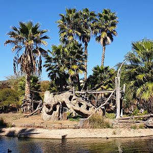 Kikuyu Guereza island