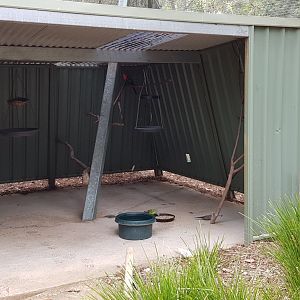 Feeding shelter in the walk thru avairy
