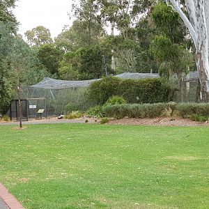 White Hills Botanic Garden - Walk thru avairy