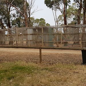 View towards teh cockatoo avairies