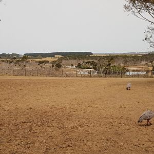 View towards the wetlands - everything was very dry