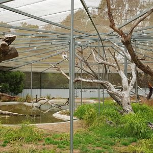 Newest wet land bird avairy