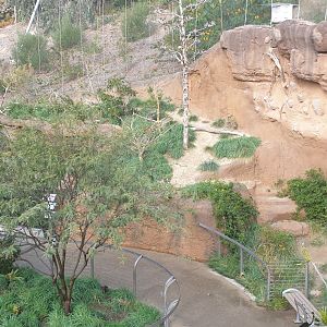 Woodland Aviary, Africa Rocks
