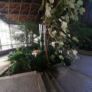 New Garden in Indomalya