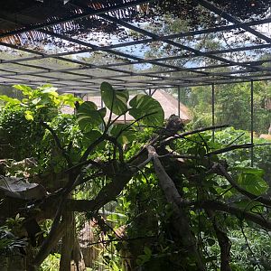 Bird of Paradise Aviary