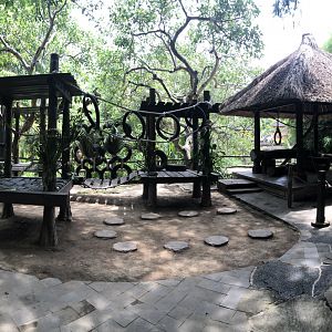 Orangutan Meet & Greet