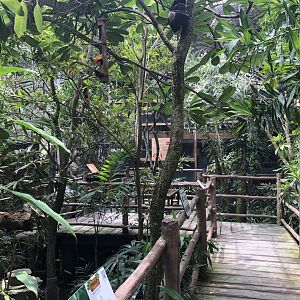 Bali Starling Aviary