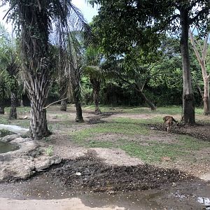 Javan Fields Exhibit