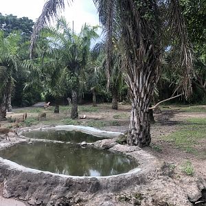 Javan Fields Exhibit