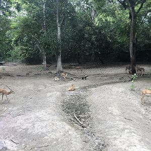 Indian Fields Exhibit