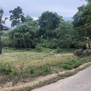 African Plains Exhibit