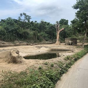Asian Elephant Exhibit #2