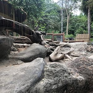 Meerkat Exhibit