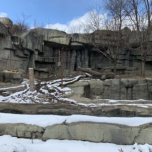Slightly raised rock by the moat in the tiger exhibit