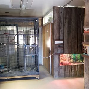 Plumpton Park Zoo - Inside of reptile and bird house